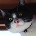mew...