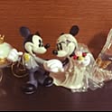maitake.h.R