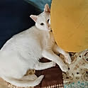 Sophie171922