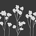 fumi