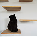 gatya_207