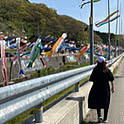 kazuyoshi134