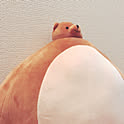 naco