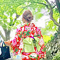 kacchi