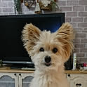 runa