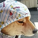 Hiroko