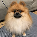 rromomo1