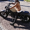 rienbo0510