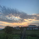 Tatsunori