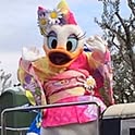 matomato