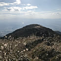 nakabarukko
