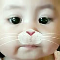 chi_chi1210