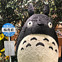 Jun