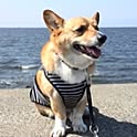 yuki