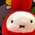 hanabuncat