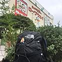 Kurashima