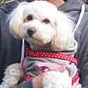 Michiko