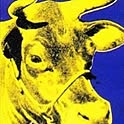 moy