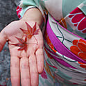 paopaomaru