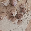 fleur