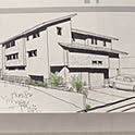 sachi