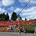 cofuyu