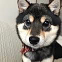 emi