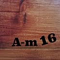 A-m16