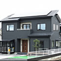 habu