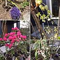 spring581