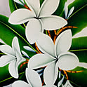 mana3