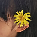 yasurie