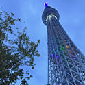 moa