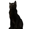 Blacky