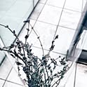 miy_u0214