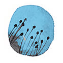 pollen