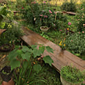 f.garden