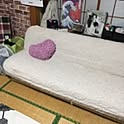 miyu