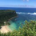 aloha81