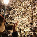 wreath