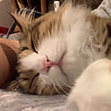mpn