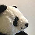 An50