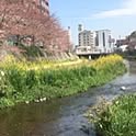 yukarigohan