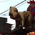 KAWA
