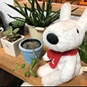 kun-chi202