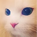 nanapunyu