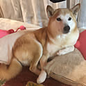 Yuko