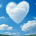 lovejiji