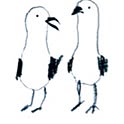 shirokina