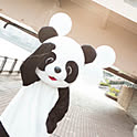 nao